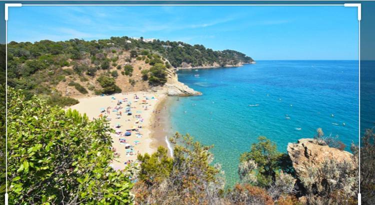 Cavalaire Vue Mer Au Loin Maisonnette Tout Equipee Pour 4 Personnes Avec Piscine Clim Wifi Velos Tv Barbecues Zewnętrze zdjęcie