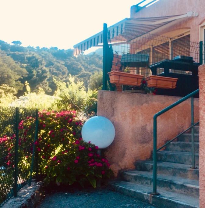 Cavalaire Vue Mer Au Loin Maisonnette Tout Equipee Pour 4 Personnes Avec Piscine Clim Wifi Velos Tv Barbecues Zewnętrze zdjęcie