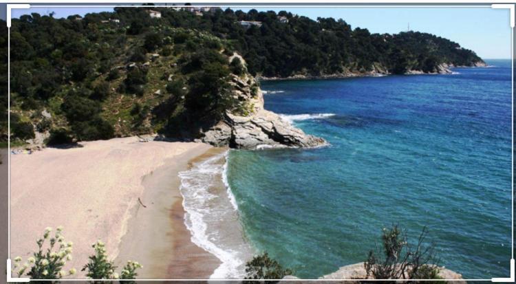 Cavalaire Vue Mer Au Loin Maisonnette Tout Equipee Pour 4 Personnes Avec Piscine Clim Wifi Velos Tv Barbecues Zewnętrze zdjęcie